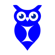 SoloWise Owl